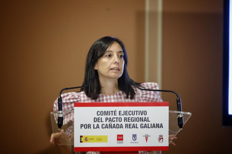 Mercedes González expone ante el Comité Ejecutivo del Pacto Regional por la Cañada Real las actuaciones del plan de choque en materia de seguridad